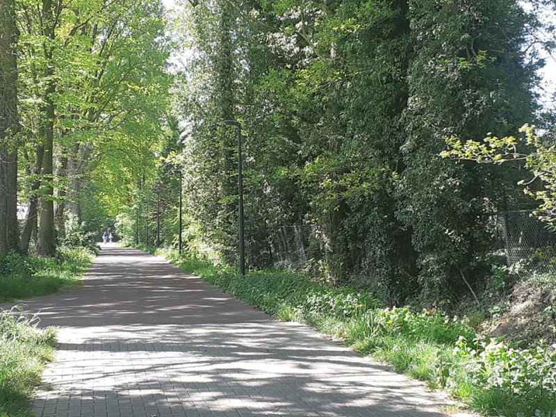 Stenversweg vanaf Zuid Esmarkerrondweg.jpg