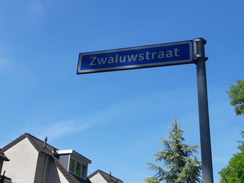 Zwaluwstraat straatnaambord.jpg