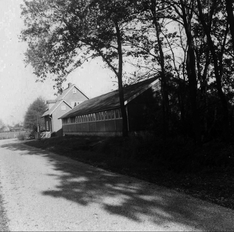 Nieuwedijk Kippenfokkerij op de hoek met de Meijerinksweg in het buurtschap van Lonneker. 1-12-1968.jpg