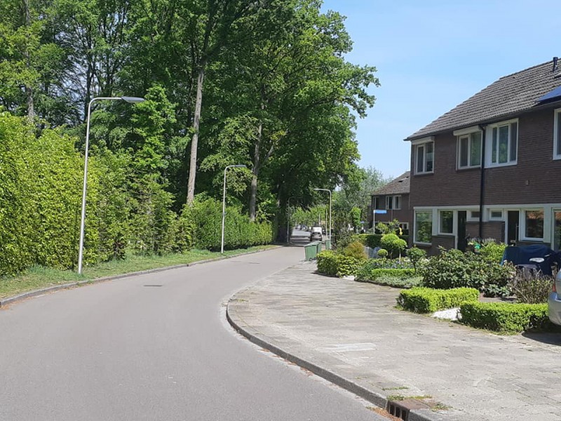 Nieuwedijk.jpg