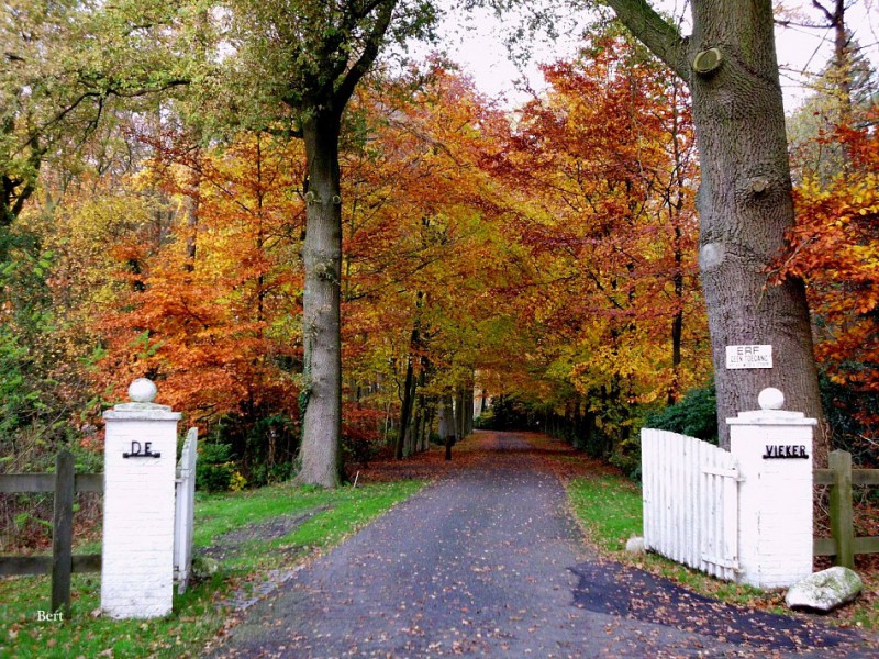 Viekerweg 30 Landgoed De Vieker poort.jpg