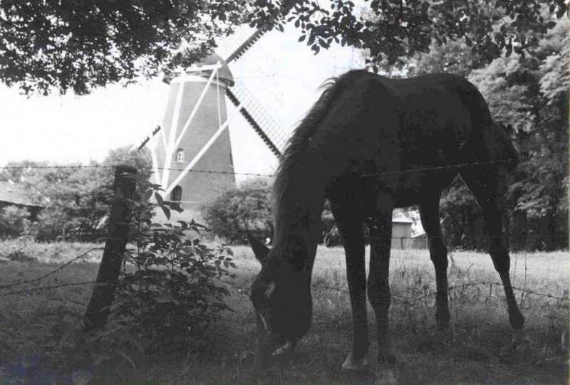 IJzerhaarweg Lonnekermolen 1965.jpg