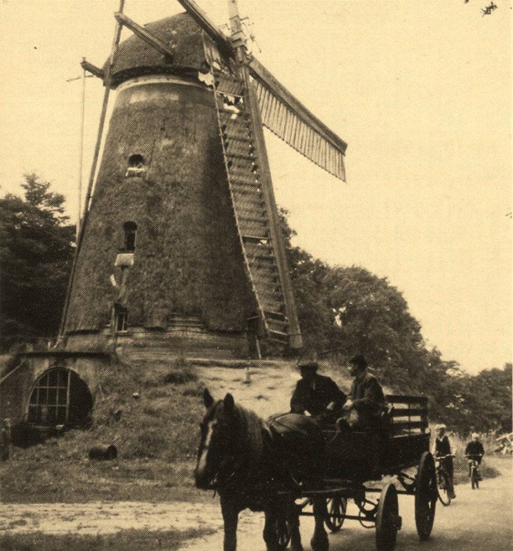 Lonneker molenweg 80 Lonneker molen 1951.jpg