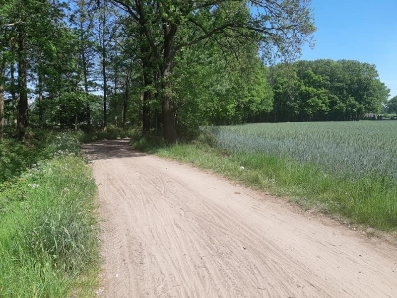 Ruiterkampweg vanaf Oldenzaalsestraat.jpg