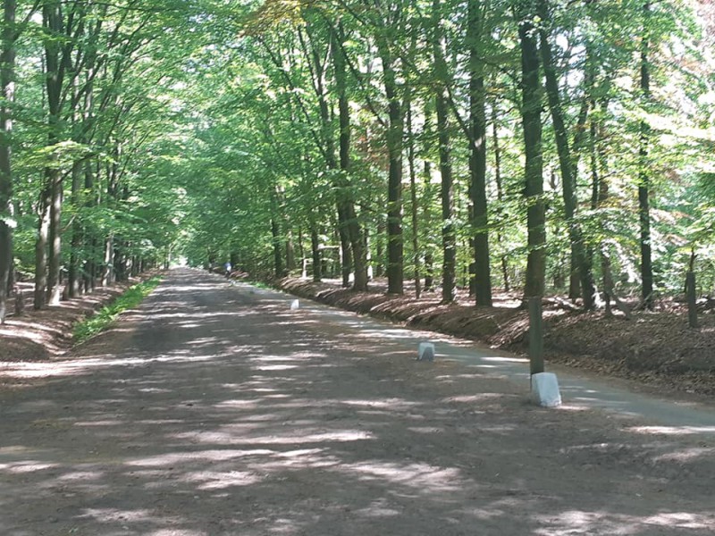 Wiedicksbeekweg vanaf Haverrietweg.jpg