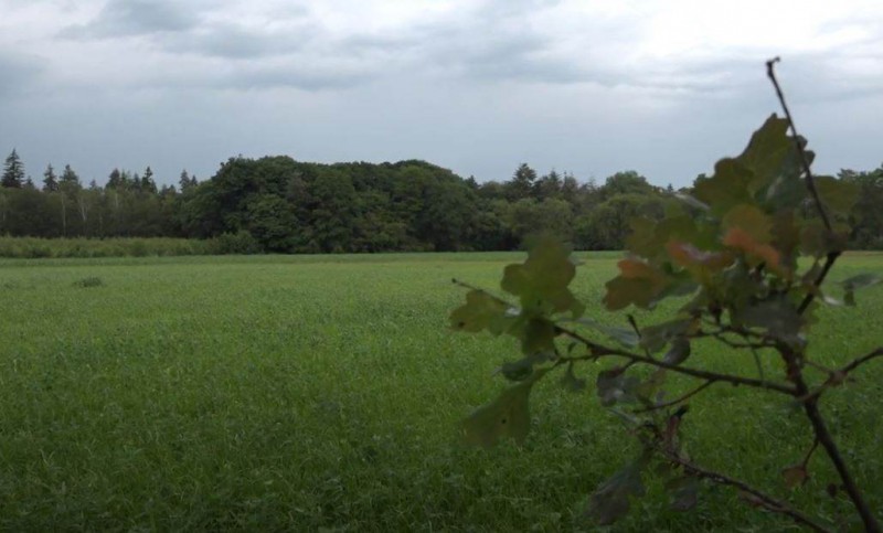 Skyline en landschap gaan op de schop voor klimaatneutraal Enschede.jpg