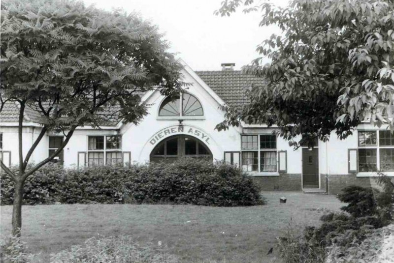 Zweringspad Dierenasiel 1950.jpg