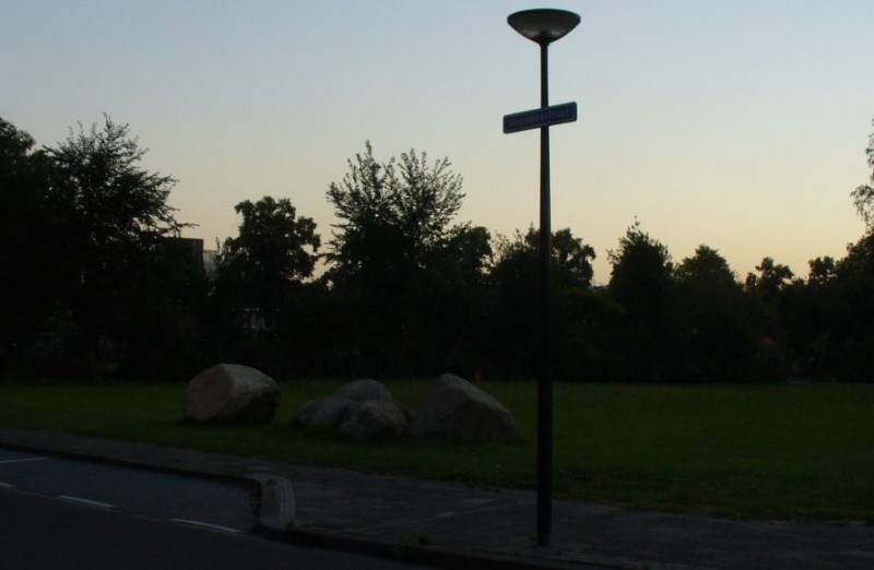Meeuwenstraat (2a).JPG
