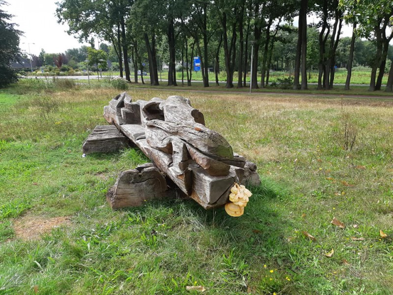 Ferdinand Bolstraat hoek Haaksbergerstraat boomstammenbankje met zwam in parkje Bomenmuseum West 7-9-2020.(3).jpg