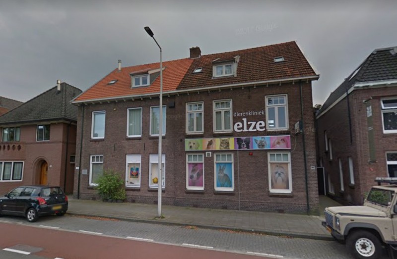 Lasondersingel 186 Dierenkloniek Elze.jpg