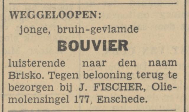 Oliemolensingel 177 J. Fischer advertentie Tubantia 12-12-1935.jpg