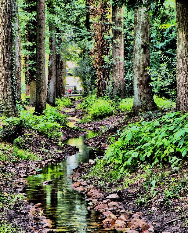 Roessinghsbleekweg Roombeek vanaf Van Lochemsbleekpark en Van Heekpark.jpg