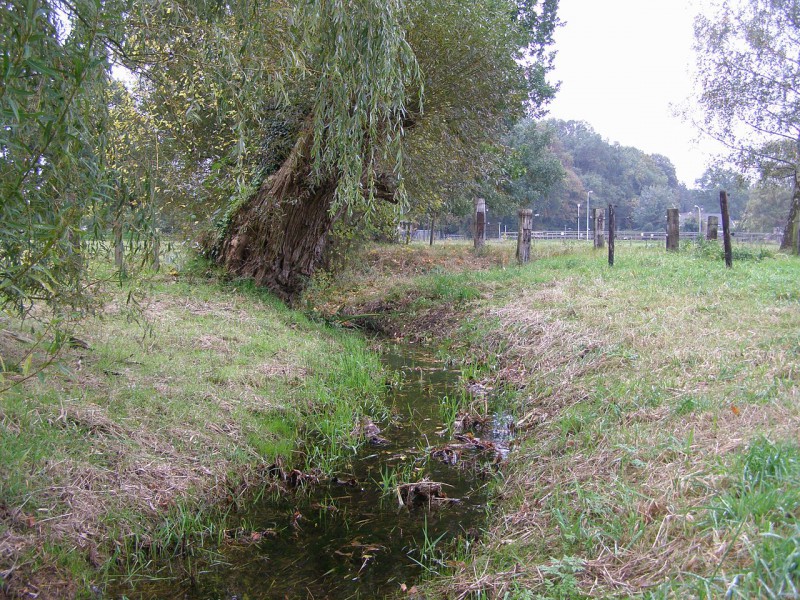 Abraham Ledeboerpark met Roombeek.jpg