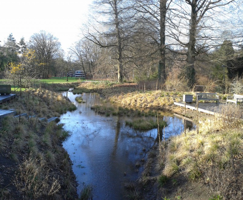 Universiteit Twente Beektuin Roombeek.jpg