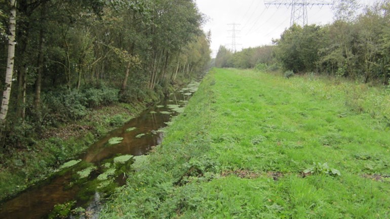 Twekkelerbeek Boeldershoek.jpg