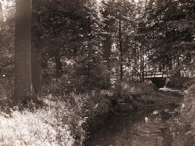 Boekelo Beek bij Hof te Boekelo. 1943.jpg