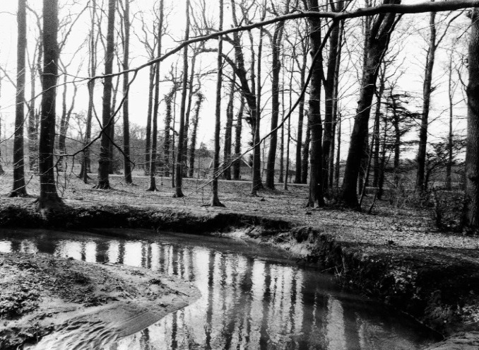 Wullenweg De Boekelerbeek stroomt langs Boekelo in de richting van de watermolen in Oele. De Teesinkbeek en de Rutbeek leveren water aan de Boekelerbeek..jpg