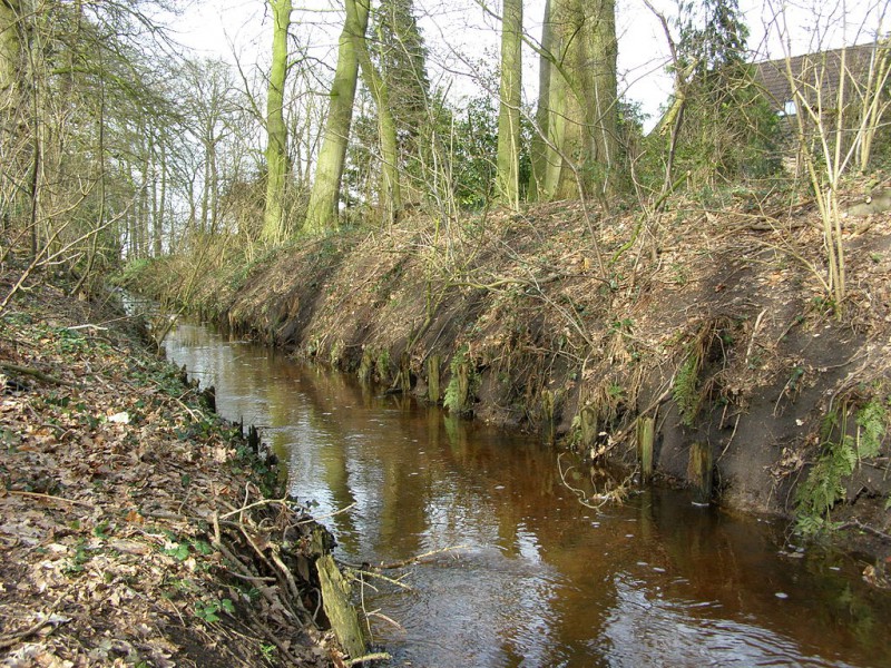 Broekheurnerbeek ten zuiden van de Usseleres.jpg