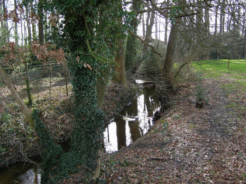 Broekheurnerbeek in de buurt van Helmerhoek.jpg