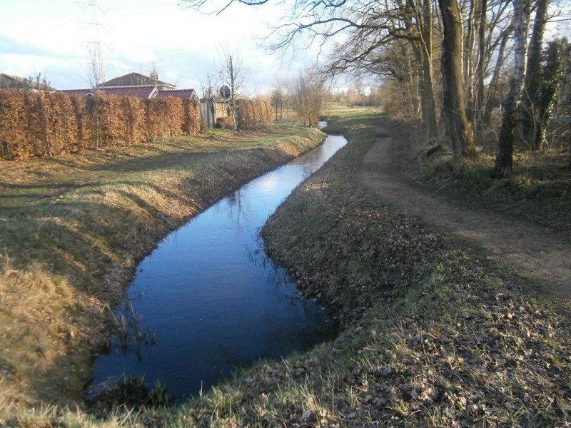 Dikkersbos Zweringbeek.JPG