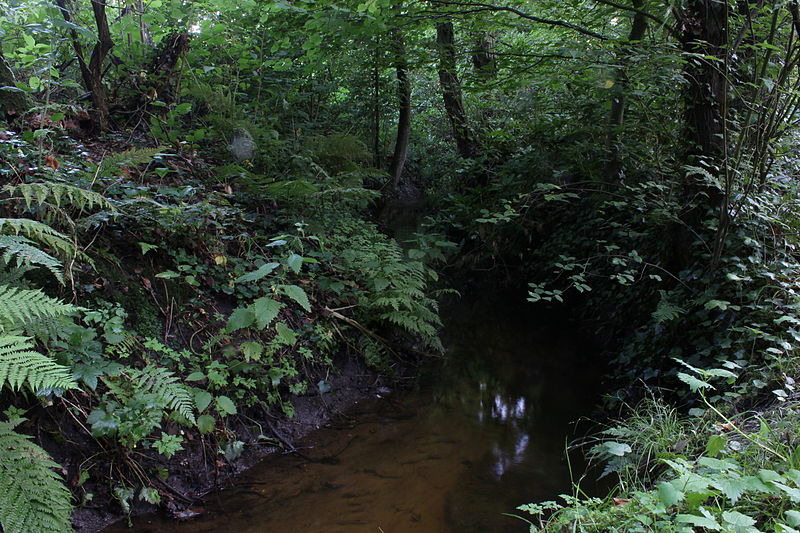 Bruninksbeek Smalenbroek.jpg