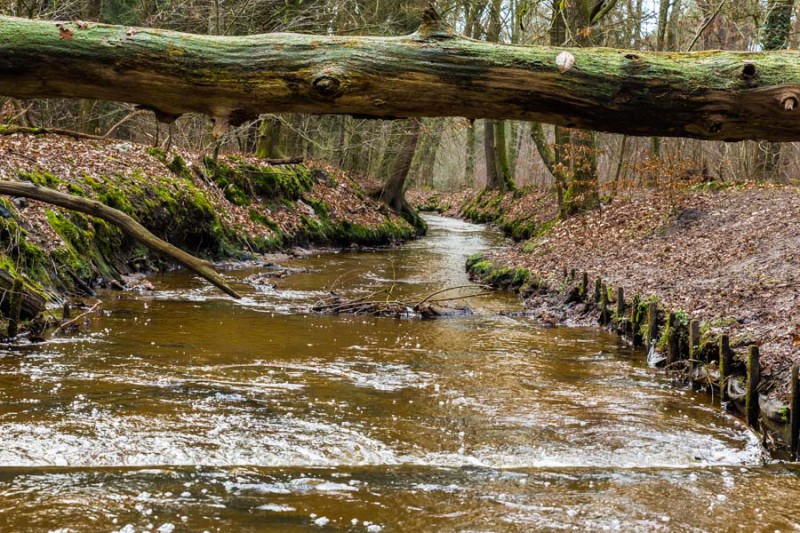 Eschbeek meandert bij Hof Espelo.jpg