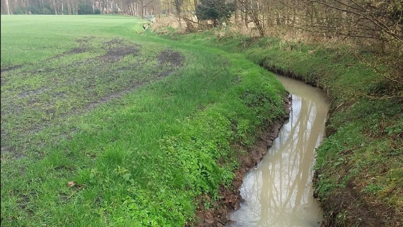 Leutinkbeek. melk in de sloot terechtgekomen 30-3-2020.jpg