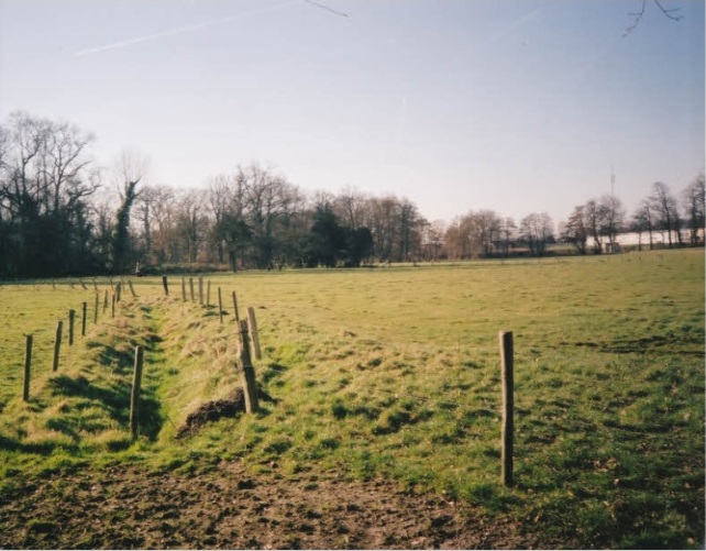 Oldenzaalsestraat Oude bedding van voormalige Amelinksbleek, met rechts reliëf langs de beekrand.(uiters rechts kassencomplex DCW). 2008.jpg