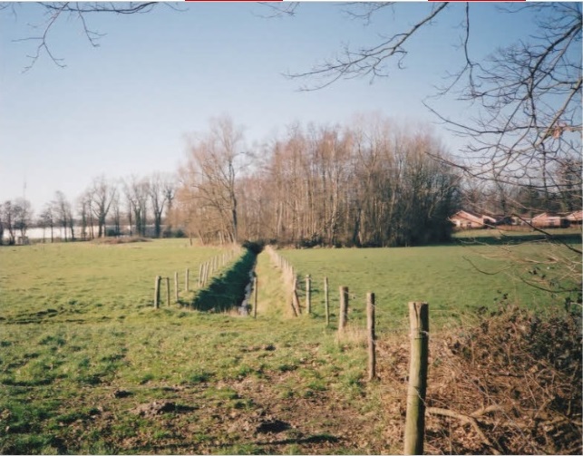 Oldenzaalsestraat Amelinksbeek met rechts perceel voormalig Amelinksbleek. 2008.jpg