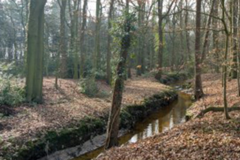 Hoge Boekelerbeek bij landgoed Hoge Boekel.jpg
