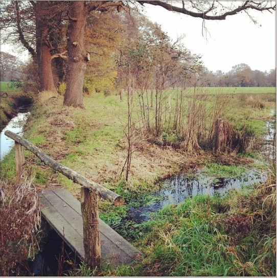 Schoolbeek met bruggetje Twekkelo.(2).jpg