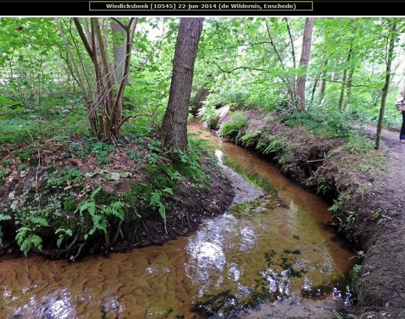 Wiedicksbeek bij de Wildernis.jpg