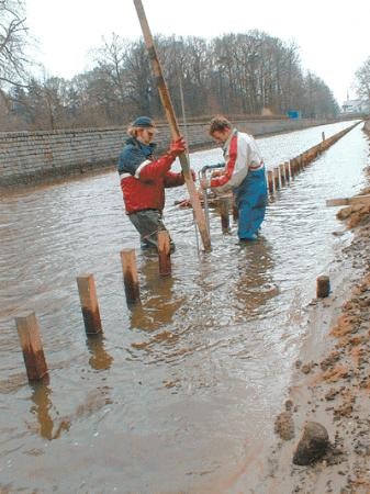 Drienerlolaan Bolhaarsbeek overstroomt.jpg