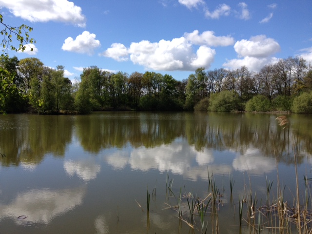 Oude Matenweg  Boekelo Ganzebosvijver.jpg