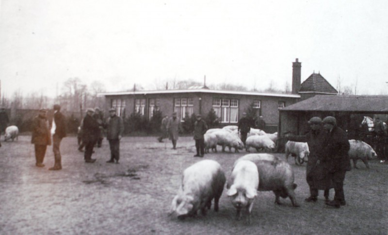 Volksparksingel 3 Gemeente Abattoir slachthuis (3).jpg