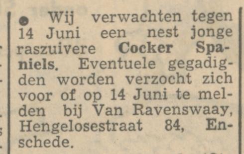 Hengelosestraat 84 Van Ravenswaay advertentie Tubantia 5-6-1951.jpg