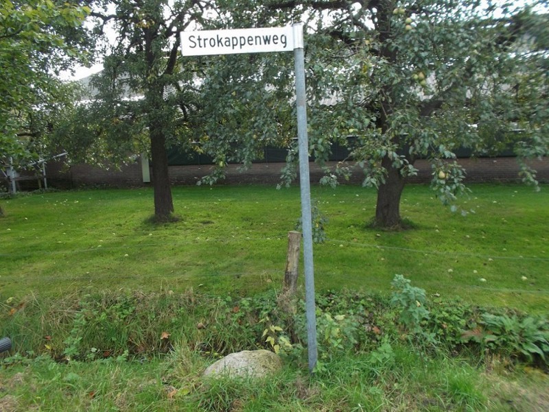 Penninkskottenweg hoek Strokappenweg (Losser) grens steen bij Hendrik Beumer in het veld.JPG