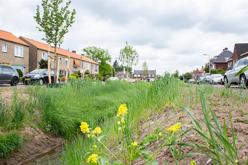 B.W. ter Kuilestraat Stadsbeek.jpg