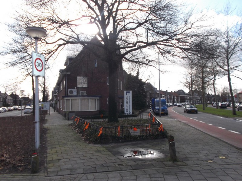 Hogelandsingel 59 hoek Padangstraat 2 met Beatrixboom.JPG