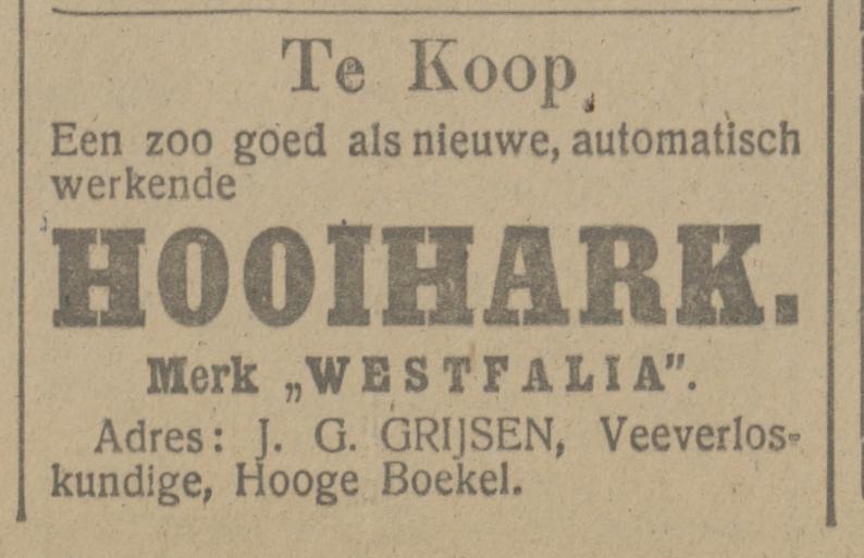 Hooge Boekel J.G. Grijsen Veeverloskundige advertentie Tubantia 13-7-1919.jpg