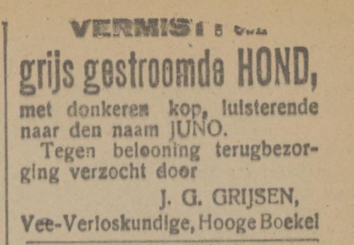 Hooge Boekel J.G. Grijsen Veeverloskundige advertentie Tubantia 18-11-1918.jpg