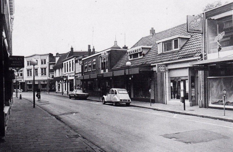 Oldenzaalsestraat 39-41 Vanaf waar nu de Irenepromenade begint tot de Noorderhagen.jpg