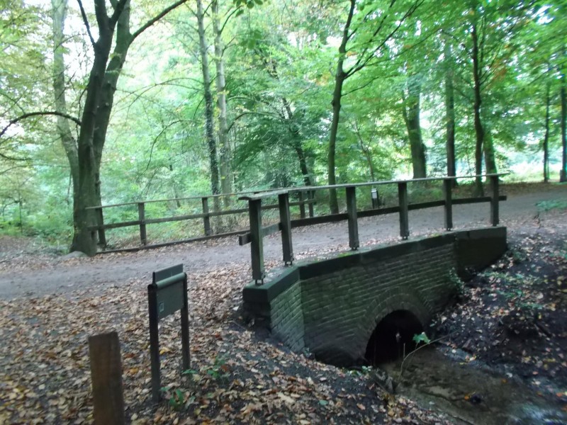 ledeboerpark 025.JPG