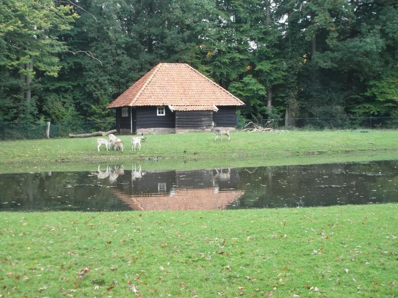 ledeboerpark 023.JPG