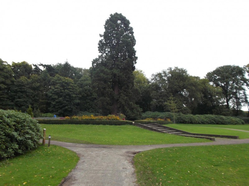 ledeboerpark 016.JPG