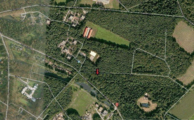 Boom met bord..jpg