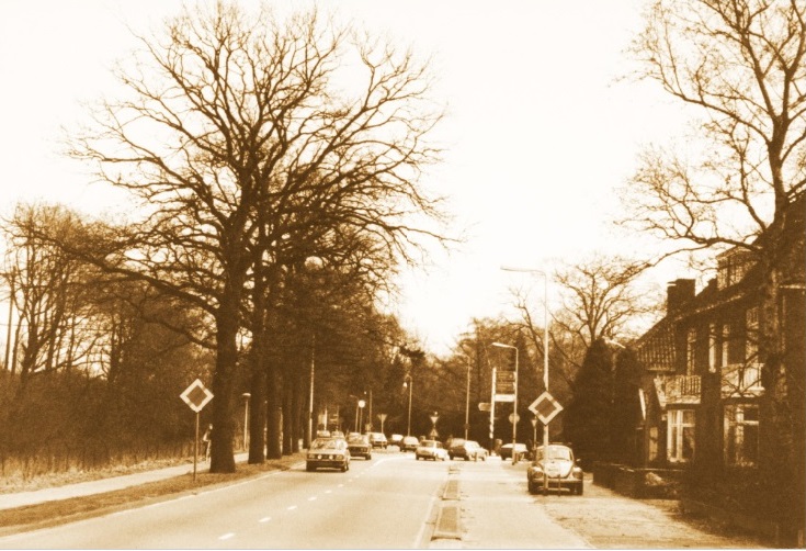 Parkweg nabij Volksparksingel 5-3-1982.jpg