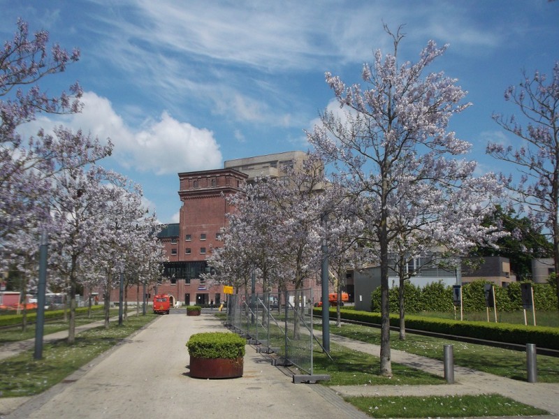 Museumlaan met Cremergebouw.JPG