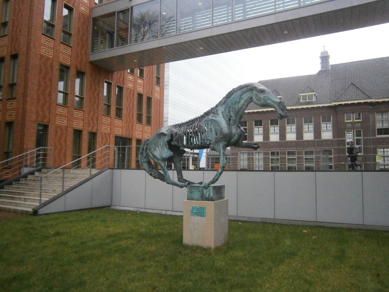 M.H. Tromplaan 19 Saxion kunstwerk bronzen paard van kunstenaar Cees Willemsen (2).JPG