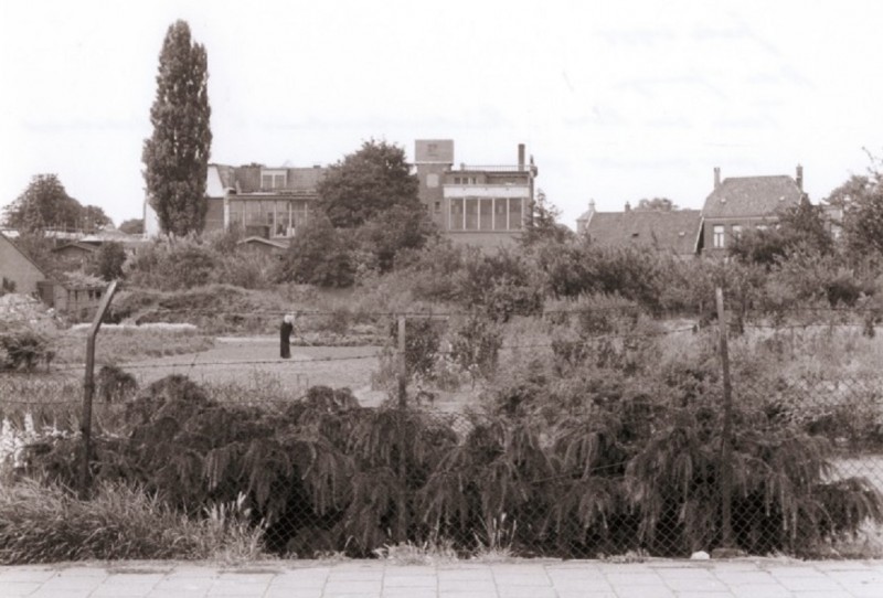 Rietmolenstraat 47 Hoek Lombokstraat, tuin van hr. Kors, met zicht op Ziekenzorg. juli 1955.jpg